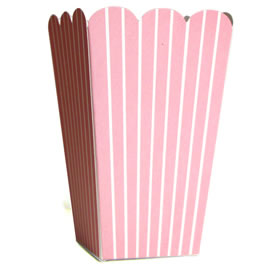 Treat Box Pink Stripe