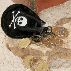 Suede Pirate Drawstring Bags With Plastic Gold Coins